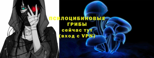 МДПВ Балахна