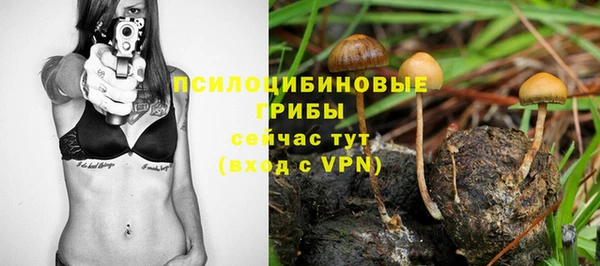 МДПВ Балахна